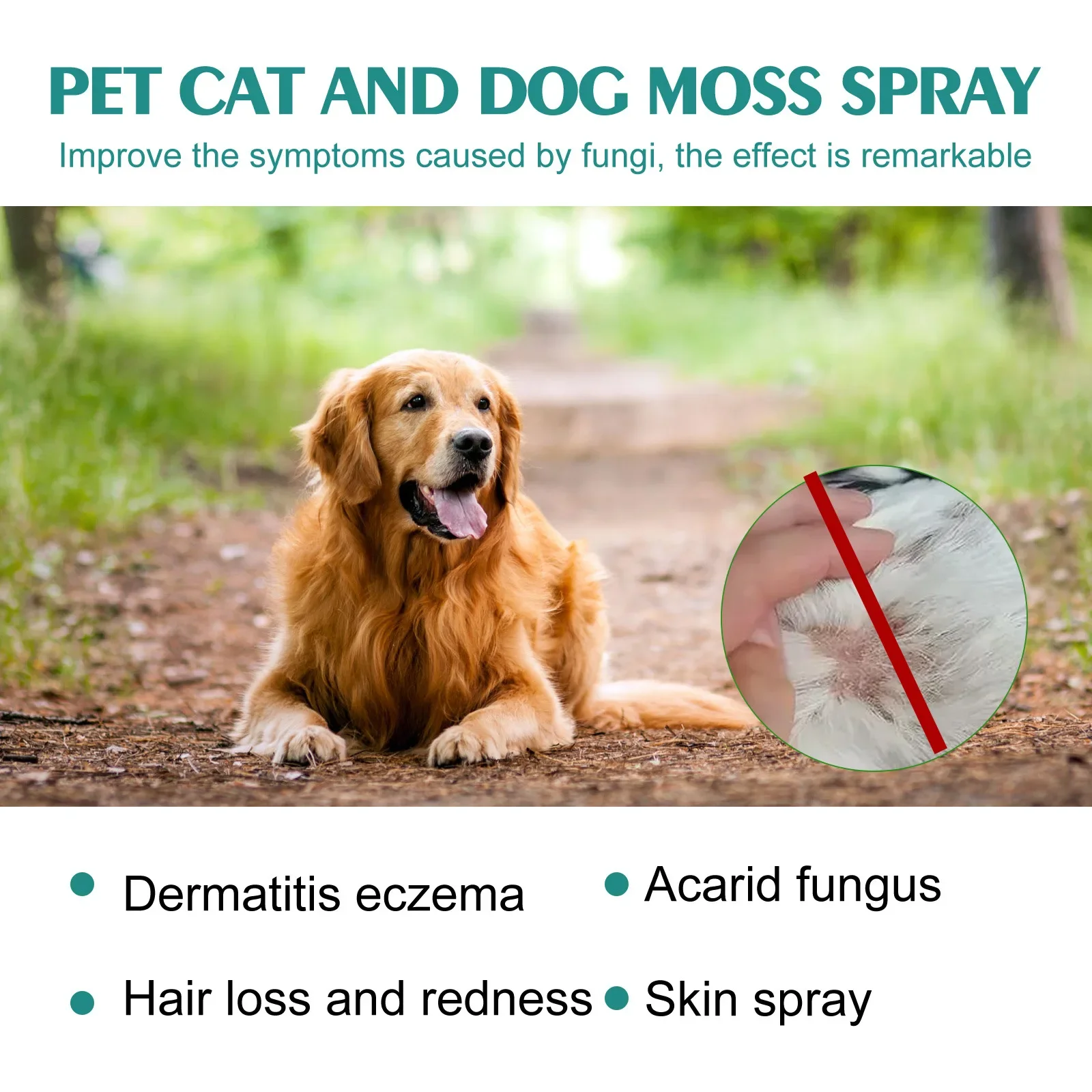 Pet Skin Care Spray Dermatitis Allergy Antibacterial Flea Tick Killer Puppy Mite Removal Relieve Itching Cat Ringworm Treatment