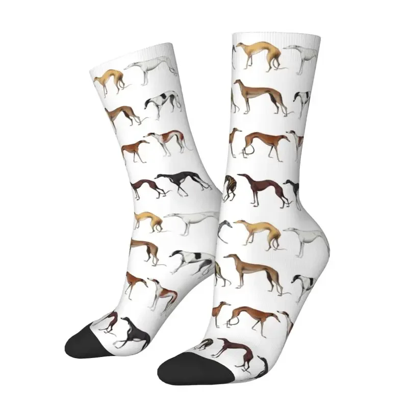 Cute Whippet Sighthound Dog Men's Crew Socks Unisex Fun 3D Printed Greyhound Hound Male Dress Sock