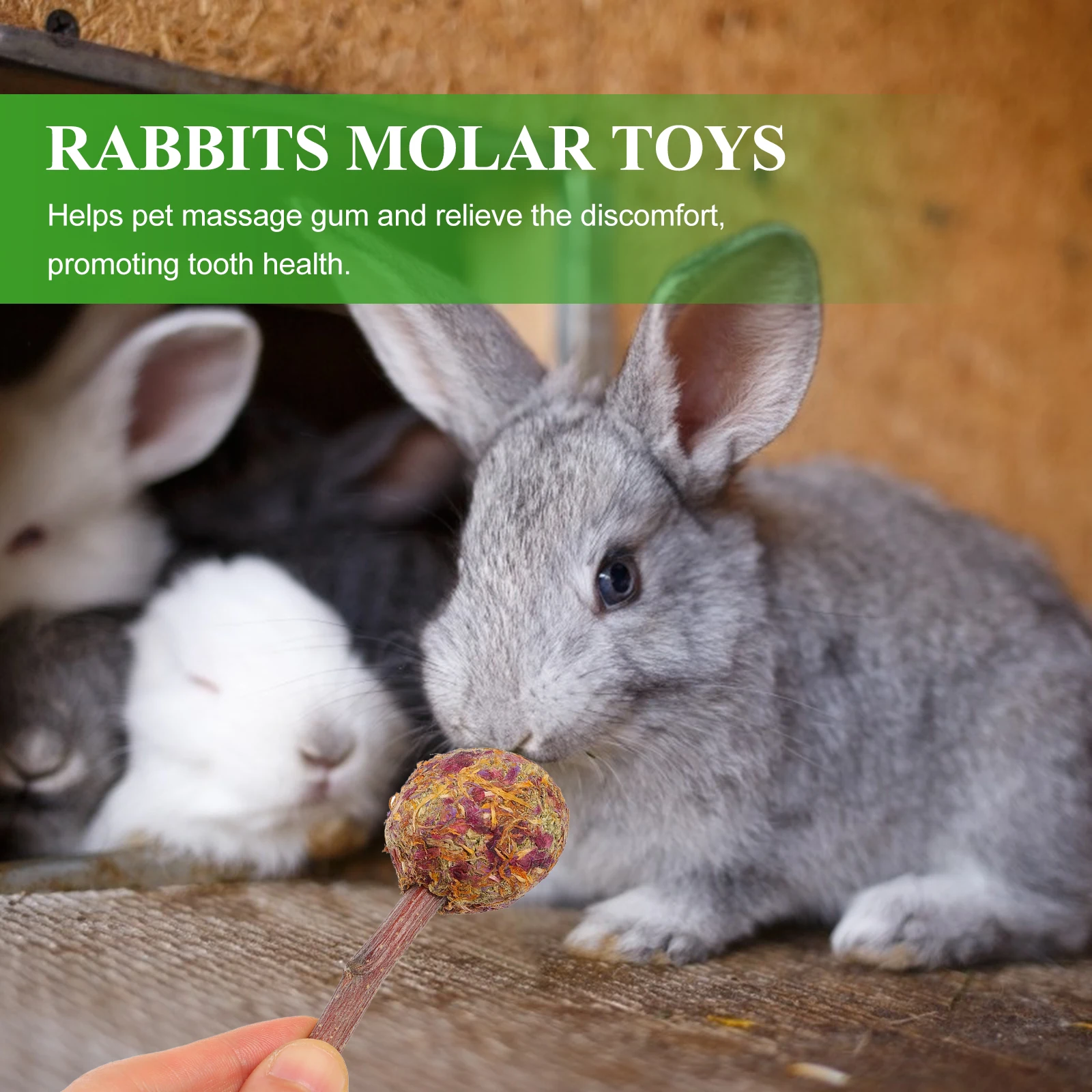 

10pcs Pet Teeth Grinding Stick Natural Chew Rabbit Guinea Pig Hamster Small Pet Molar Care Biting Rod Safe Chewing