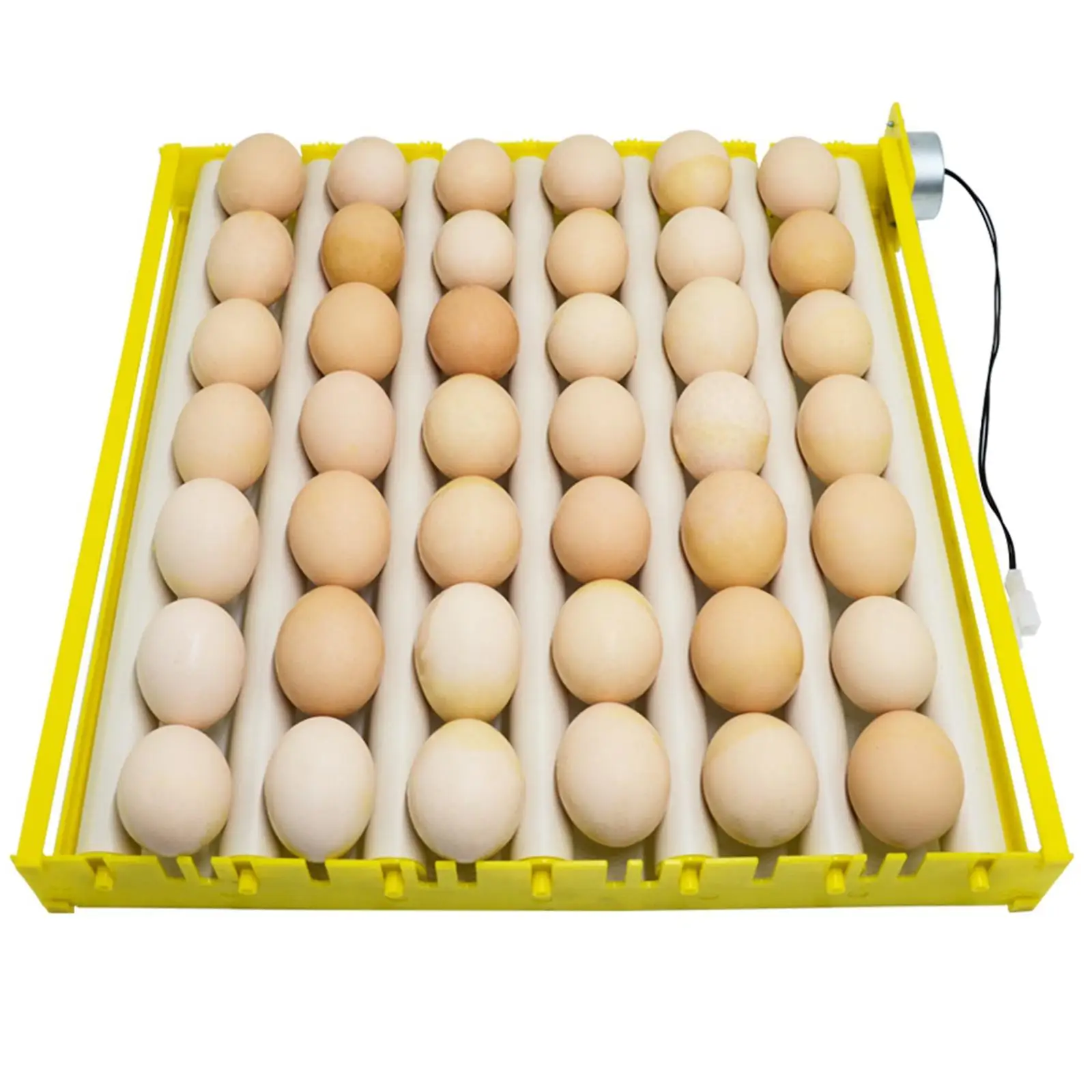 Egg Incubator, 12V Automatic Egg 42/56 Eggs Poultry Hatching with Egg Turning