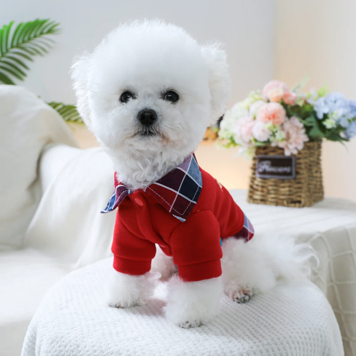 1PC Pet Clothing Spring and Autumn Velvet Red Camera Fake Two Piece Jacket Suitable for Small and Medium sized Dogs