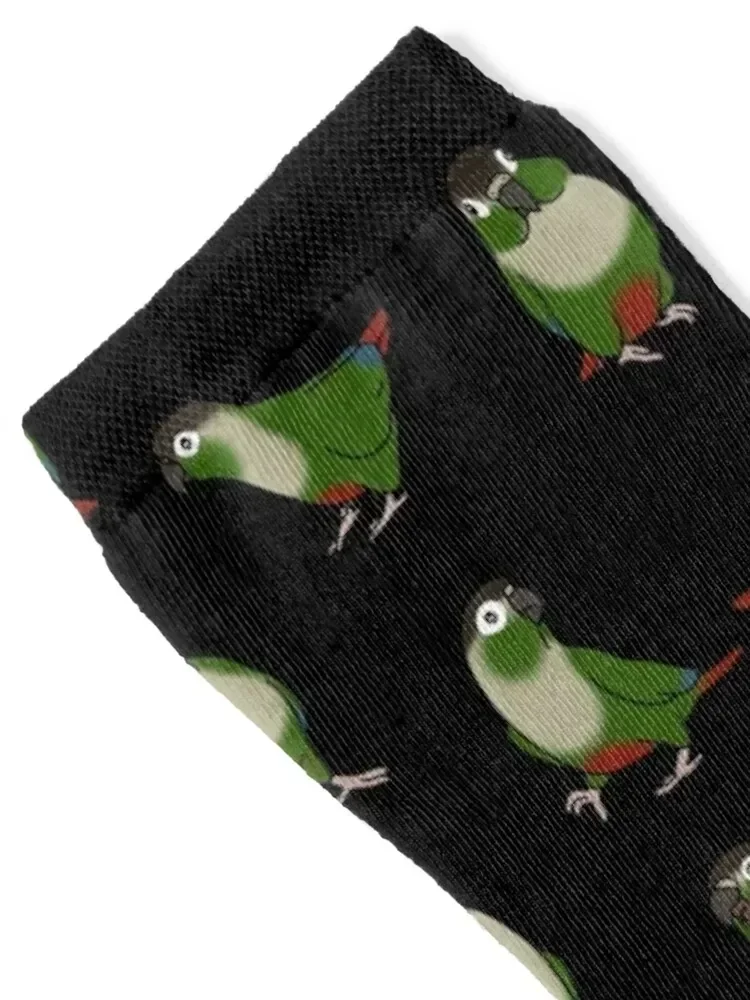 green cheeked conure doodle pattern Socks Antiskid soccer christmas gift Socks Women's Men's