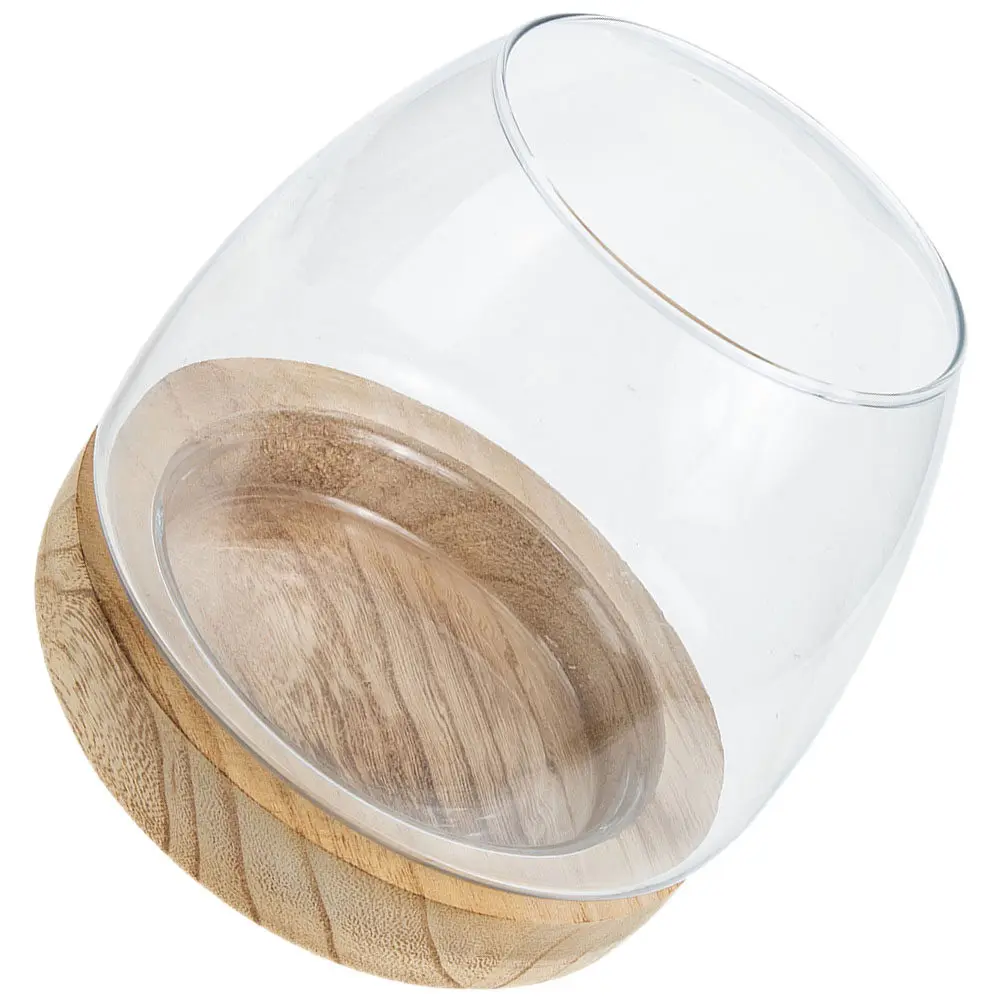 Wooden Base Glass Hydroponic Planter Vase for Desktop Decor, Terrarium & Small Fish Bowl