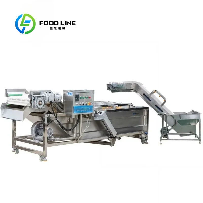 Customize 304 Stainless Steel Bubble Fruit Washing Machine, 500Kg/H Chlorine Removal Vegetable Cleaner for Food Processing