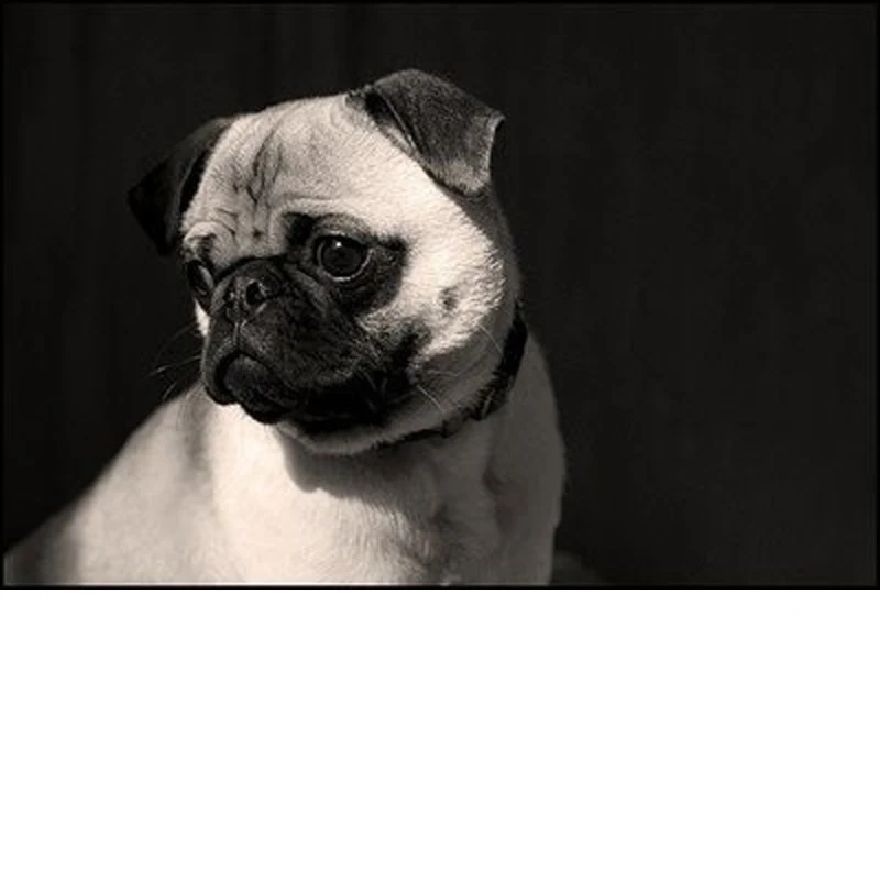 

Carbon Fiber Pattern ABS Rearview Mirror Cover Caps For BMW X3 G01 X4 G02 X5 G05 X6 G06 X7 G07 Replacement Car Accessories