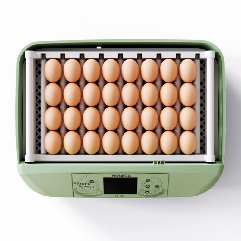 

32 Egg Incubator With High Hatcher Rate for Home Use Automatic Roller Egg Tray Automatic temperature control