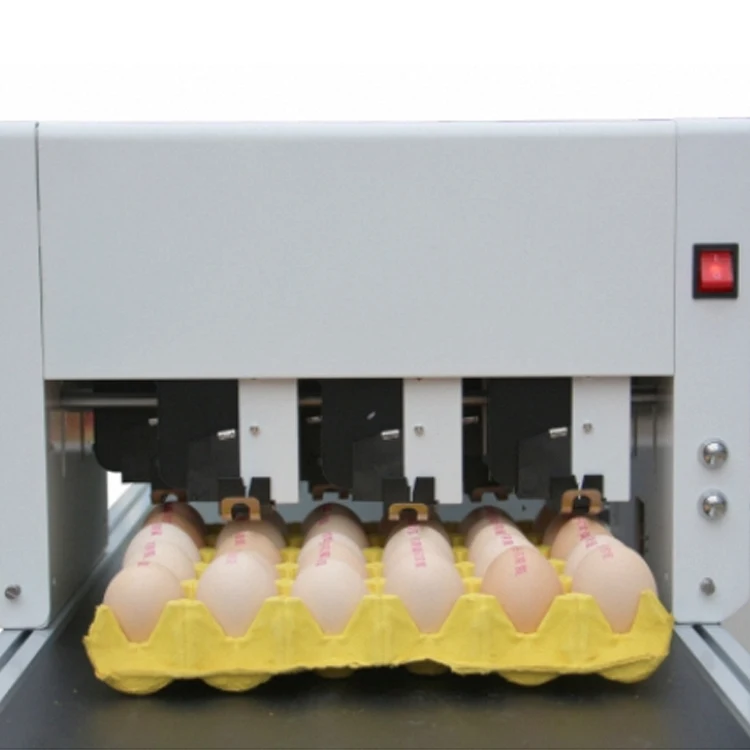 High-Speed 6 Print Head Egg Inkjet Coding Machine Conveyor New Condition Automatic Grade 600dpi For Flex Competitive Price