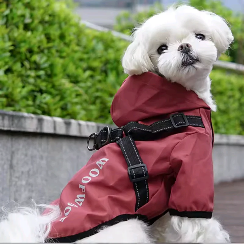 Thumbnail 2 - #7 Trending Waterproof Puppy Jackets Right Now