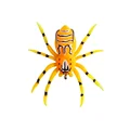 Spider-6G-09