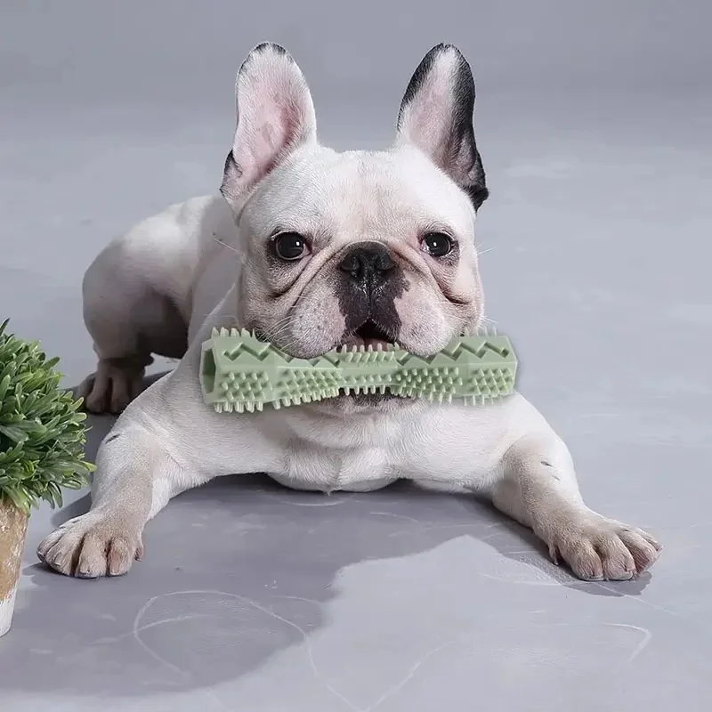 Durable Dog Chew Toy TPR Hexagonal Teething Stick Bite Resistant Pet Toothbrush for Puppy Oral Care