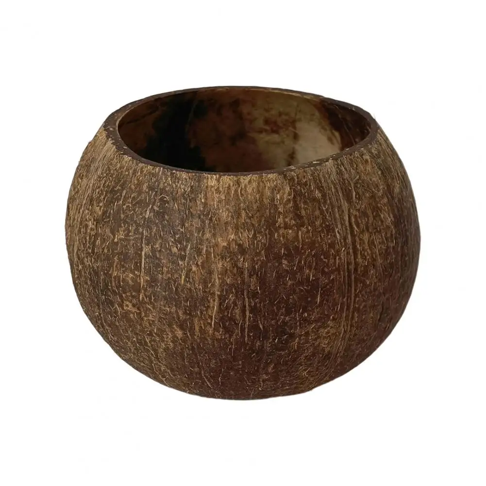 Modern Food Container Sturdy Coconut Shell Bowl Anti-deformation Relocation Gift All Match Coconut Shell Bowl