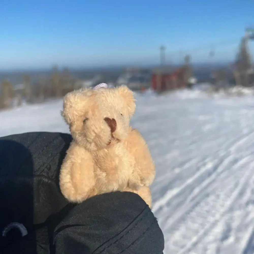 Oso de peluche móvil portátil, Mini oso abrazos, adornos de oso, caja de regalos hecha a mano de felpa, Animal de felicitación