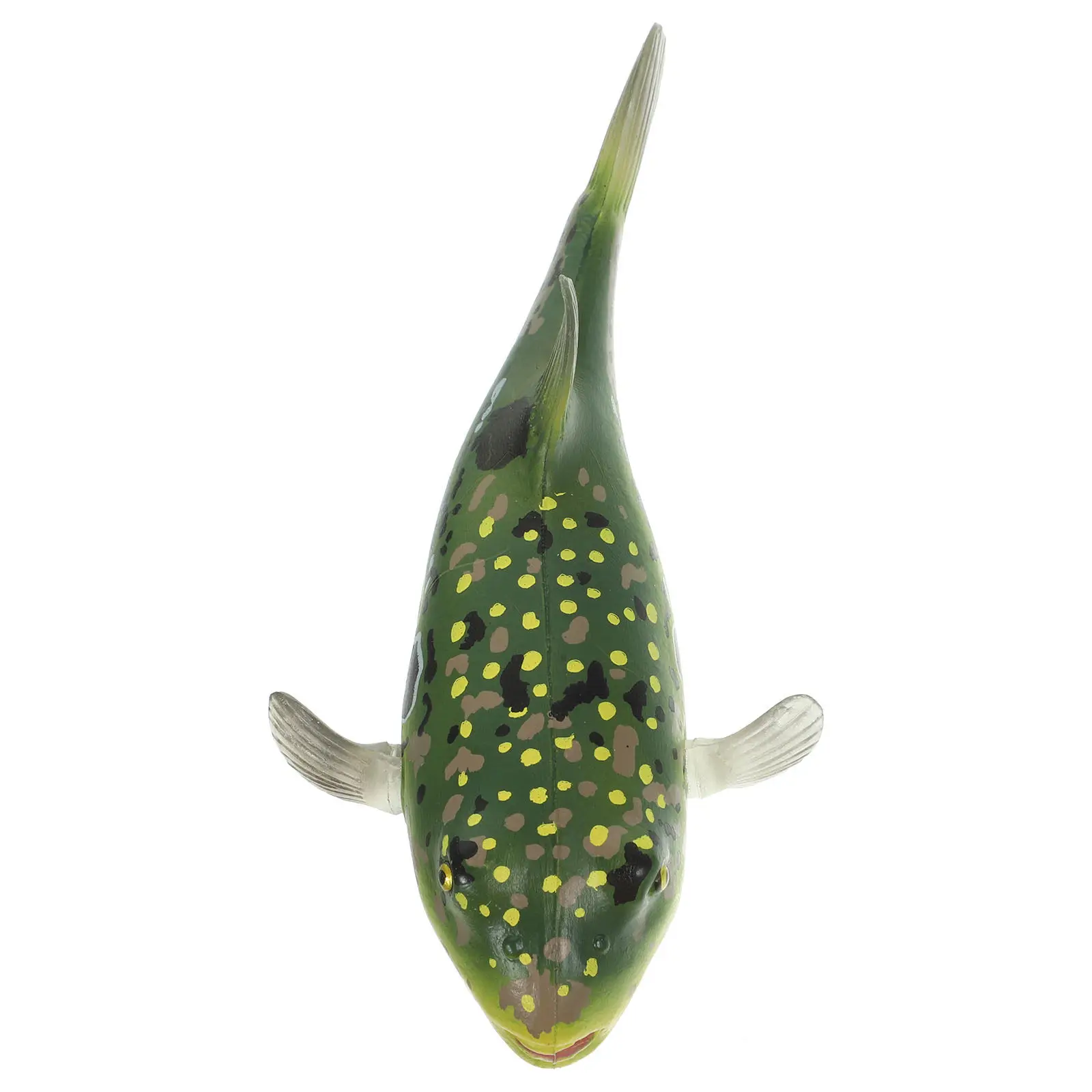 

Detailed Puffer Fish for Classroom Teaching Projects Party Favors Coastal Home Decor Fish Lovers Gift Idea