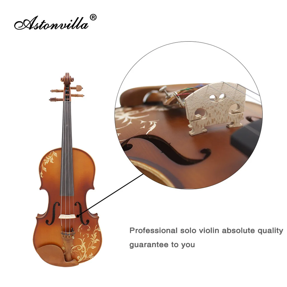 Violin 4/4 Professional Acoustic Solid Wood Carved Violin Fiddle Sets with Case Bow Beginner Musical Instrument Gift Accessories