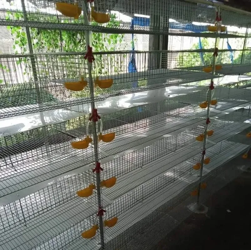 Battery Poultry 4 Tier Cages for Rabbit Layer Chickens Egg Cages