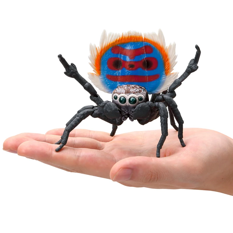 Children Simulation Insect Model Solid Peacock Spider Halloween Trick Toy Children Cognitive Science Education Toys Prank Toys