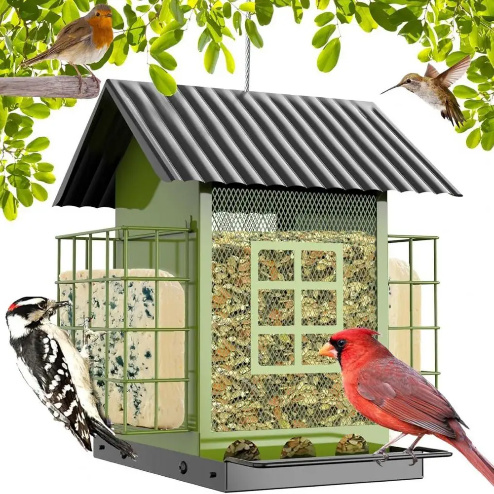 

S Feeder with Built-in Perch Metal Hanging Feeder with Double Suet Cage for Outdoors Capacity Weatherproof Design for Supply