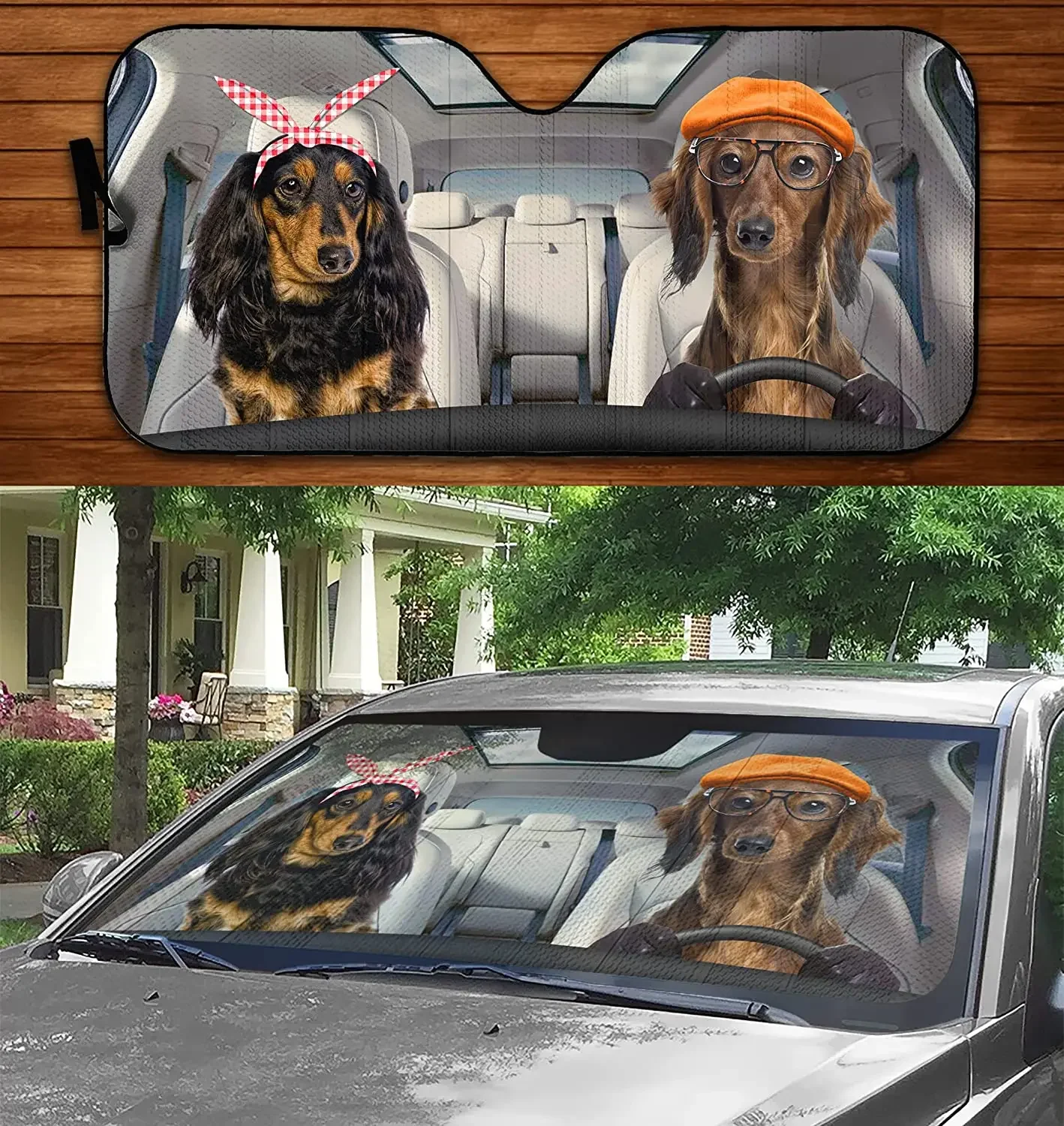 Funny Long Haired Dachshund Dog Driving Summer Car Sunshade, Long Haired Doxie Couple Driving Auto Sunshade