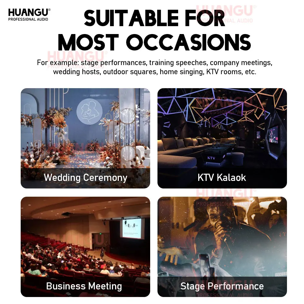 Phản Hồi Tàu Khu Trục Bộ Vi Xử Lý Sân Khấu Karaoke Âm Thanh Tần Số Tín Hiệu Chuyển Micro Tự Động Pro Cấp Exterminator