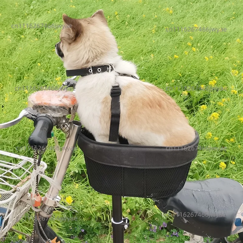 Electric car with dog scooter pet seat high view with dog seat front car cat basket