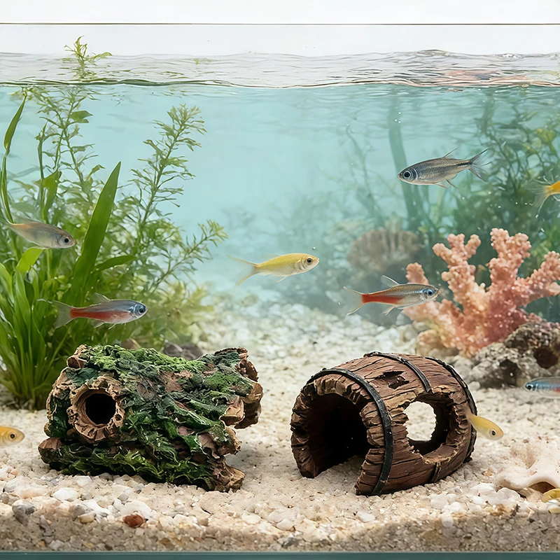 Fish In Aquarium Picture - 3 pièces de bois naturel enraciné