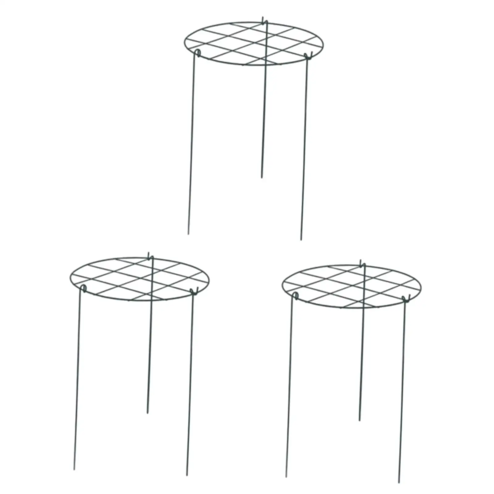 Iron Garden Plant Support Stakes with Grow Through Hoops for Flopping Flowers Indoor Outdoor Peony Rose