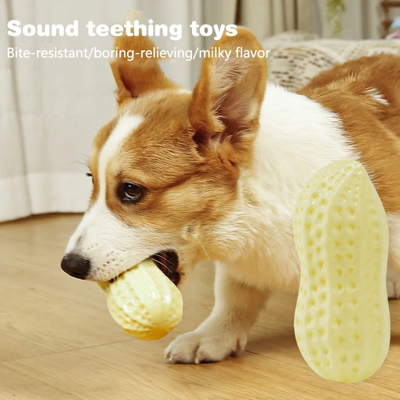 ยางไวนิลถั่วลิสงสุนัขของเล่นสําหรับสุนัขขนาดเล็กความยืดหยุ่น Chew ความเบื่อบรรเทาของเล่นทําความสะอาดฟันเสียงของเล่นสัตว์เลี้ยง Stuff อุปกรณ์เสริม