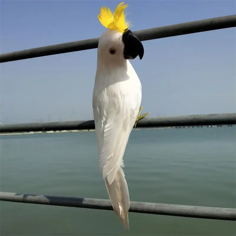 simulation bird  white feathers cockatoo bird 30cm parrot model handicraft prop,home garden decoration gift p0789