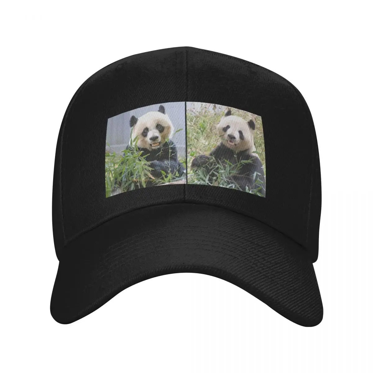 

Giant Pandas Mei Xiang and Tian Tian at the National Zoo Baseball Cap Anime Hat Christmas Hat Luxury Brand Men Golf Wear Women's