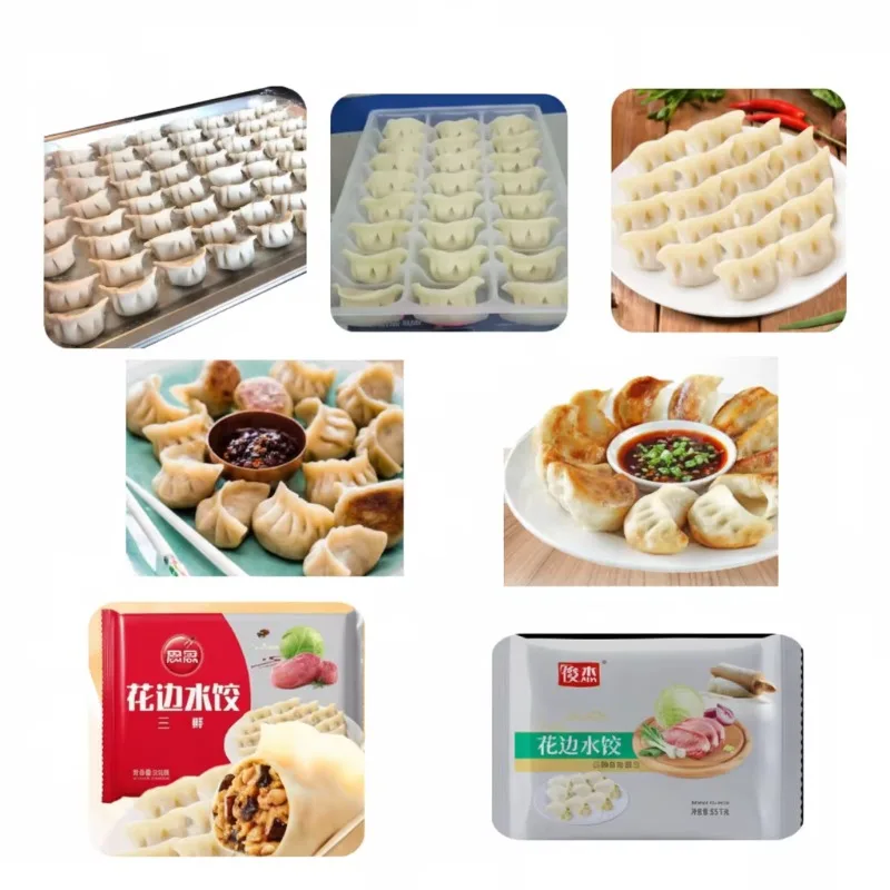 Customized Dumpling Making Fully Automatic High Speed Motor Stainless Steel High Capacity Easy Operate