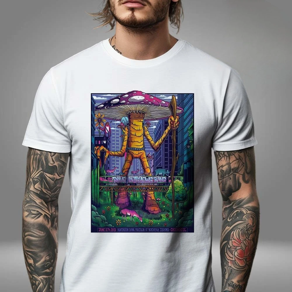 Dave Mathews Band A… - image