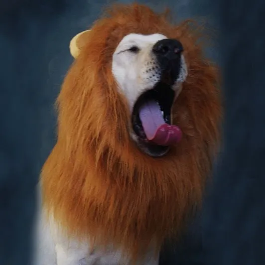 2019 new Hair Ornaments Pet dog Costume Halloween Clothes Fancy Dress Up Lion Mane Wig for Large Dogs supplies