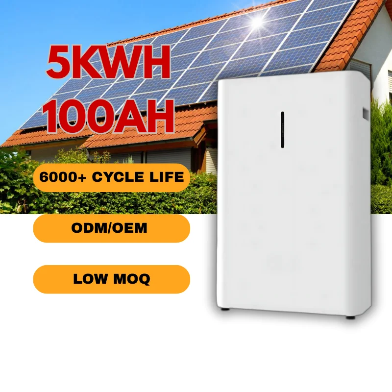 15KWH 51.2V 100Ah LiFePO4 Balcony Solar Battery IP66 Low Voltage 6000 Cycles 10 Year Warranty Home Solar Storage Battery