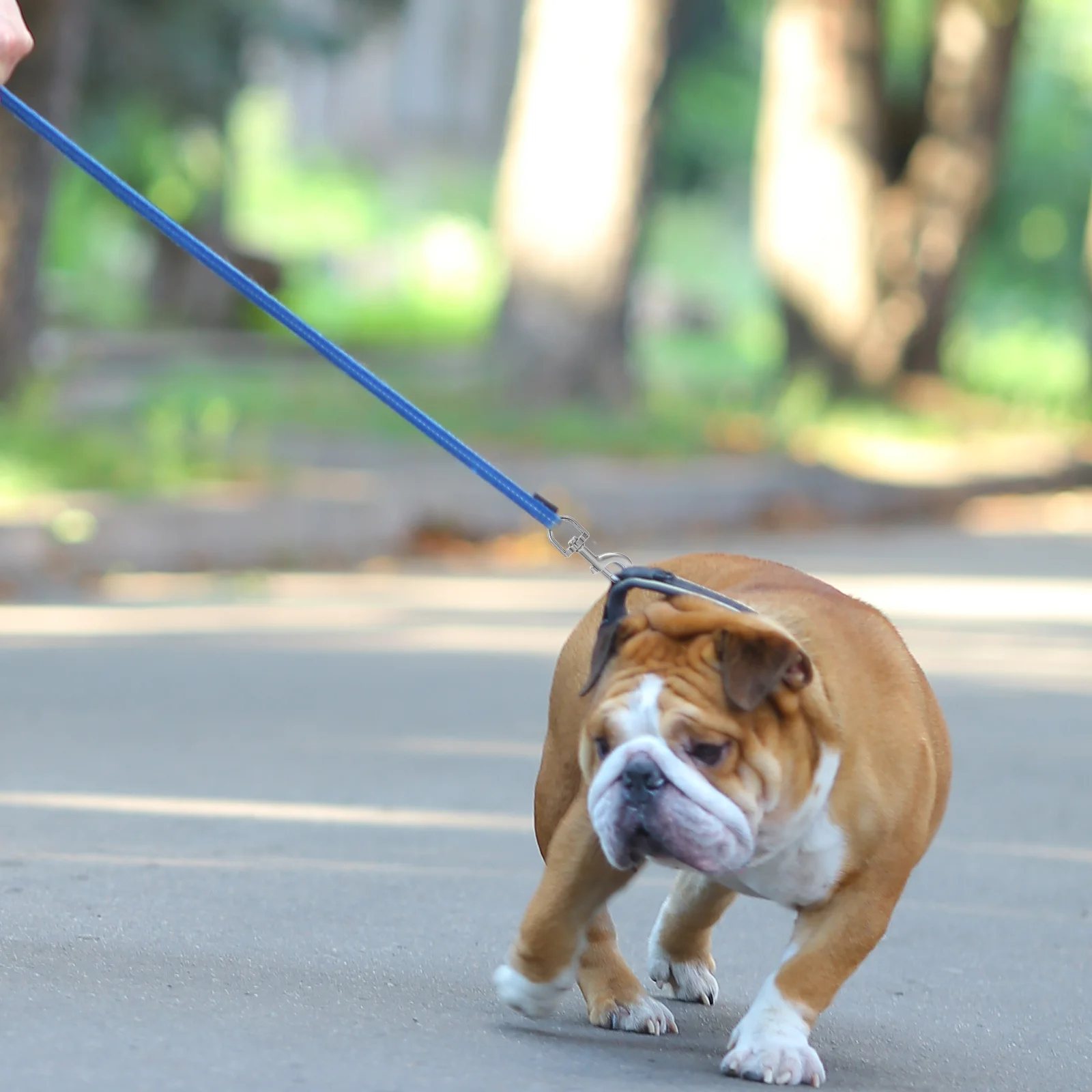 

3Pcs Heavy Duty Dog Leash Clasp Zinc Alloy Snap Hooks Swivel Carabiner Clips for Pet Outdoor Leashes Leash Carabiner