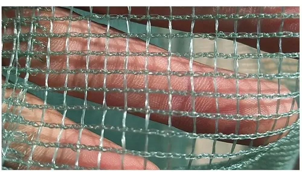 Angelausrüstung Faltbares Design Fischfangnetz Eisenkette Schaumstoff-Schwimmer Fischnetz Minnow-Fischkäfig in 4 Größen Fischfangkäfig – Detail 9
