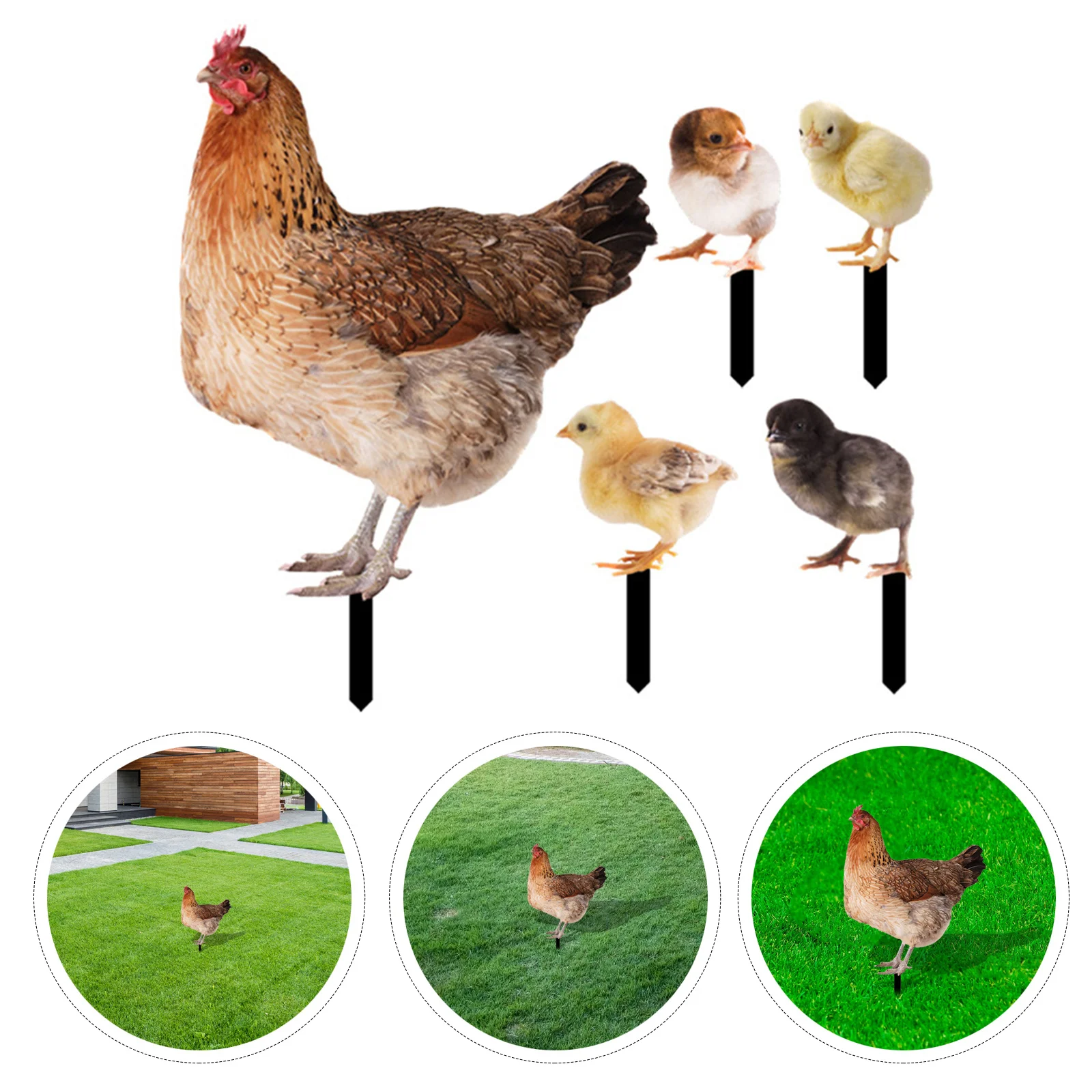 

1Set Simulation Chicken Yard Sign Acrylic Garden Stake Outdoor Courtyard Decoration Durable Eyecatching Lawn Ornament