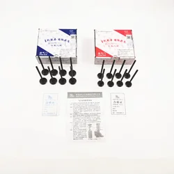 16pcs/set Engine Intake Valve & Exhaust Valve Fo rBYD F3 F0 G3 F6 S6 M6 G6 S7