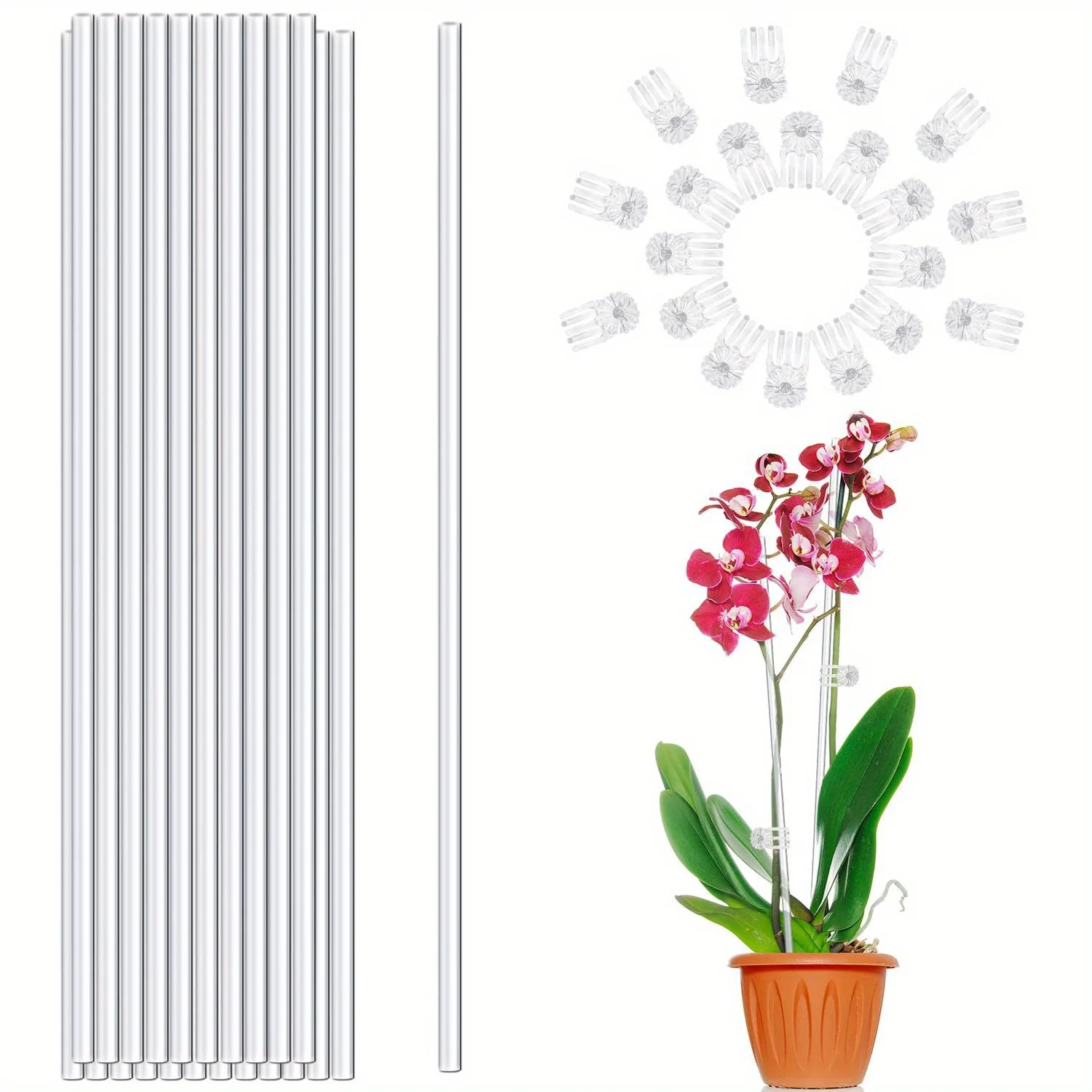 10 transparent plant support posts, multi-functional garden posts for orchids, tomatoes and flowers, indoor and outdoor use