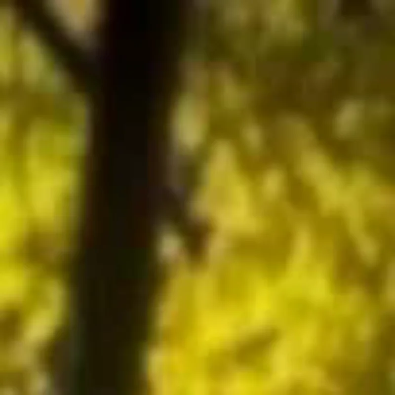 

Миниатюрная пластиковая тележка для кукольного домика 1:12, стол и стул, модель домашней мебели, игрушка для декора кукольного домика