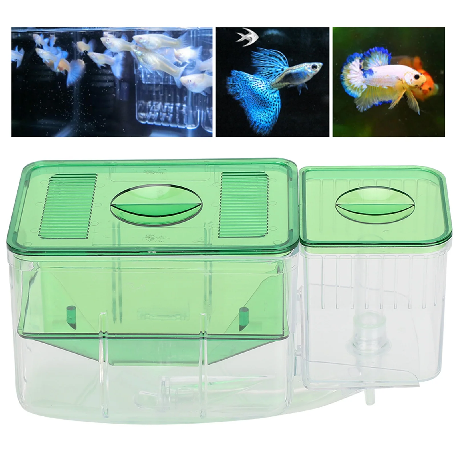 Aquarium Incubator Aquarium Fish Tanks Breeding Box Little Fish Double‑Layer Isolation Incubator for Injured Small Fish Shrimp
