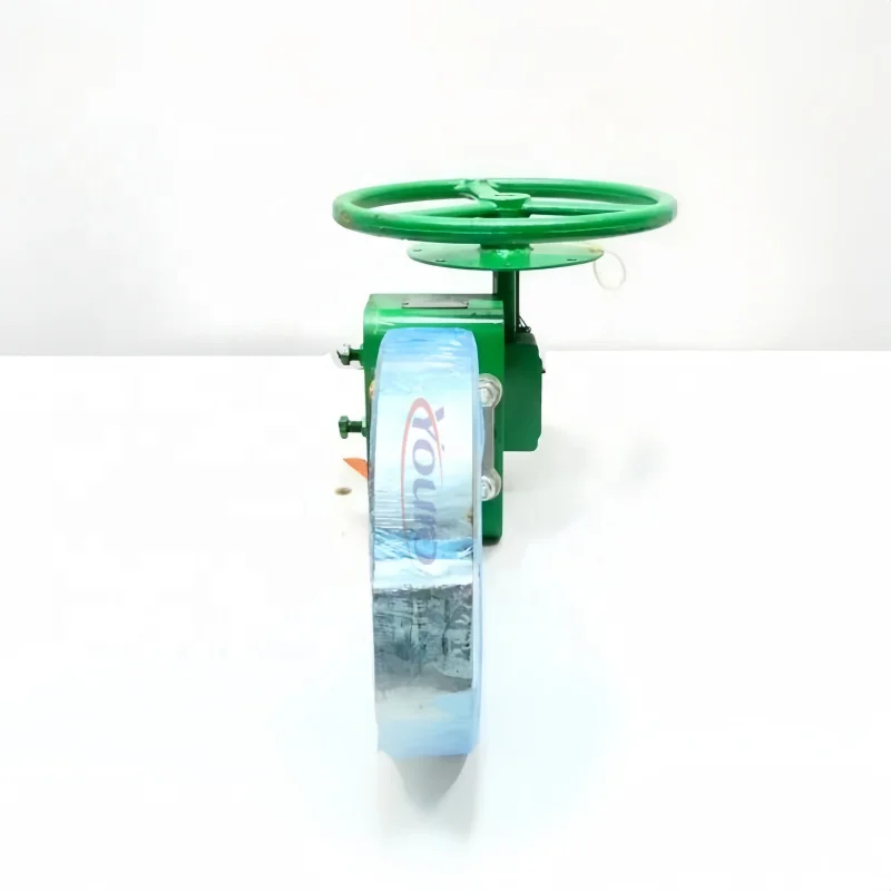 New Control Valve A11 Butterfly Valve 2052 Actuator DVC6200 Positioner 67CF Voltage Regulator