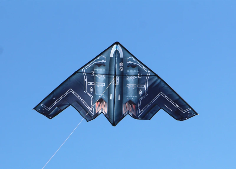 Cerfs-volants d'avion volants, tissu en nylon pour adultes, usine de cerfs-volants, jouets de plein air, ligne de cerf-volants de sport, cerf-volant weifang surf koi