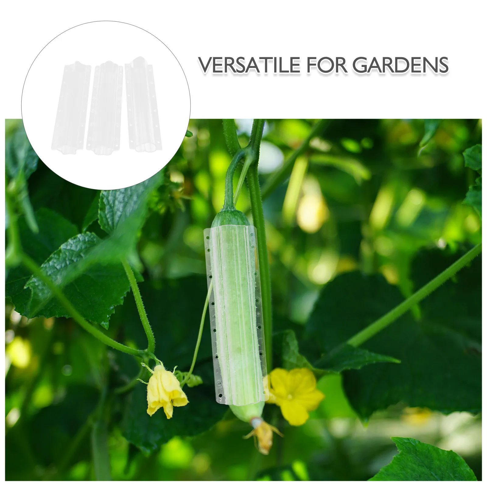 Plant Cover Garden Protection Outdoor Protector Halloween Christmas Fruit Shape Mold Fruit Grow Mold Fruit Shaped Mold 3PCS
