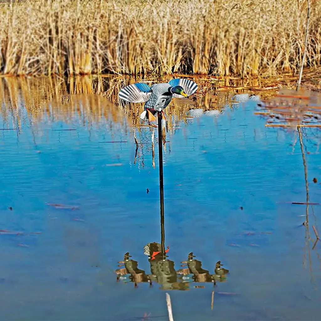 

Electric Duck Hunting Decoy Mallard Wing Remote Control Vivid Teal