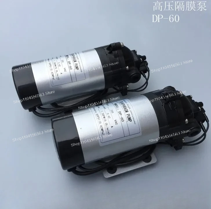 DP-60 High Pressure 220V Spray Cleaning Machine with Diaphragm & Self-Priming Booster Pump