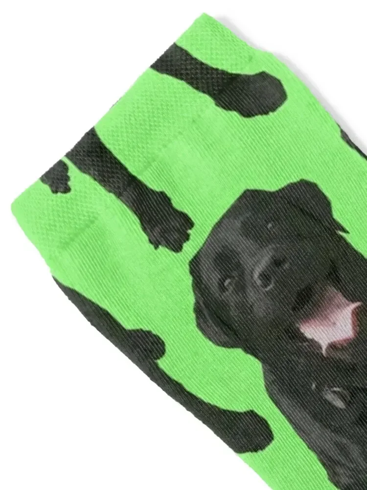 Black lab, labrador retriever, dog Socks anti slip football winter thermal Socks Ladies Men's