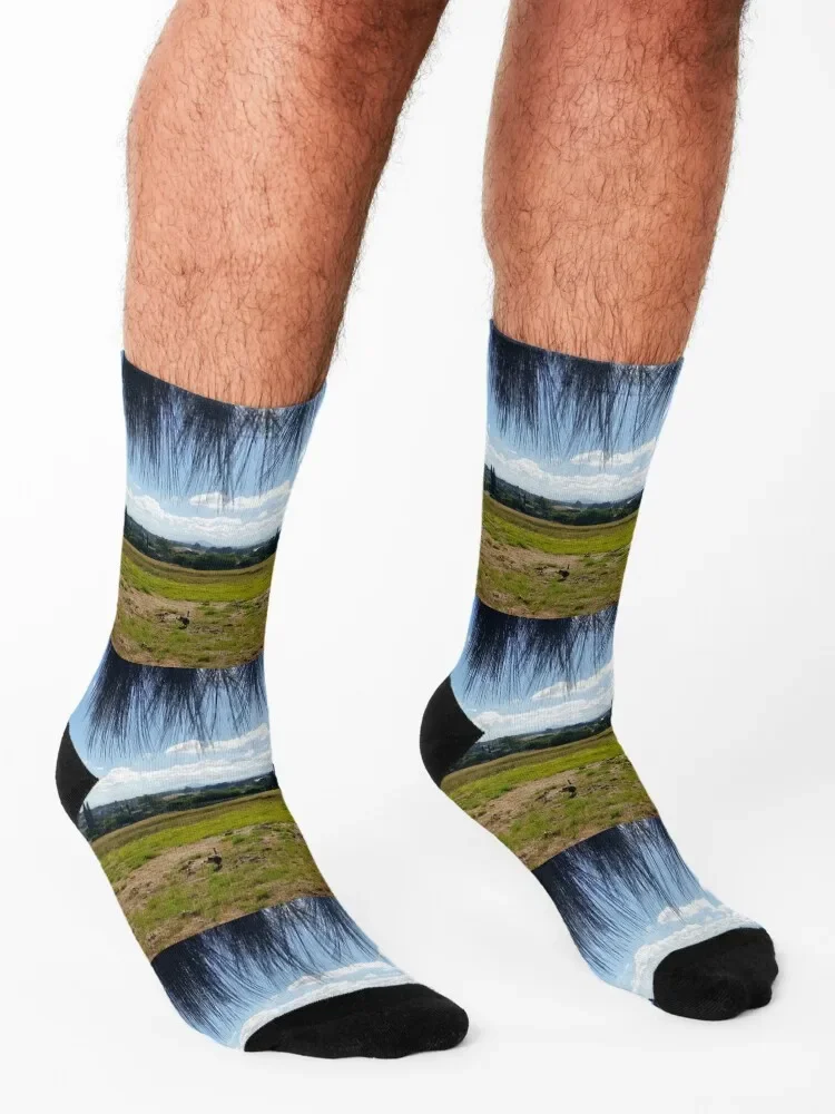 جوارب غينيا للجري في حقل مفتوح، جوارب رياضية، هدية عيد الميلاد، جوارب شفافة للرجال والنساء #3