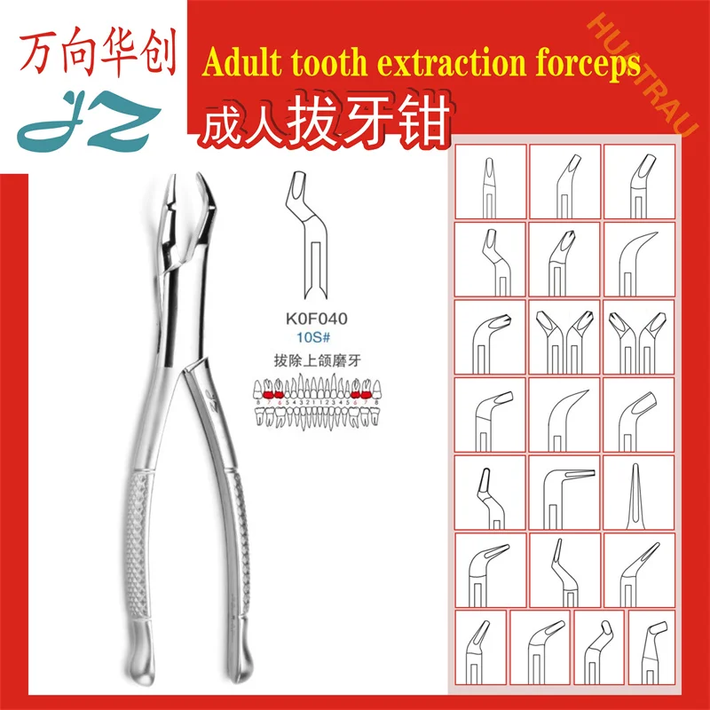 

Shanghai Jinzhong Adult Tooth Extraction Pliers Stainless Steel Medical Tooth Extraction Devices Dental Materials Dental Removal