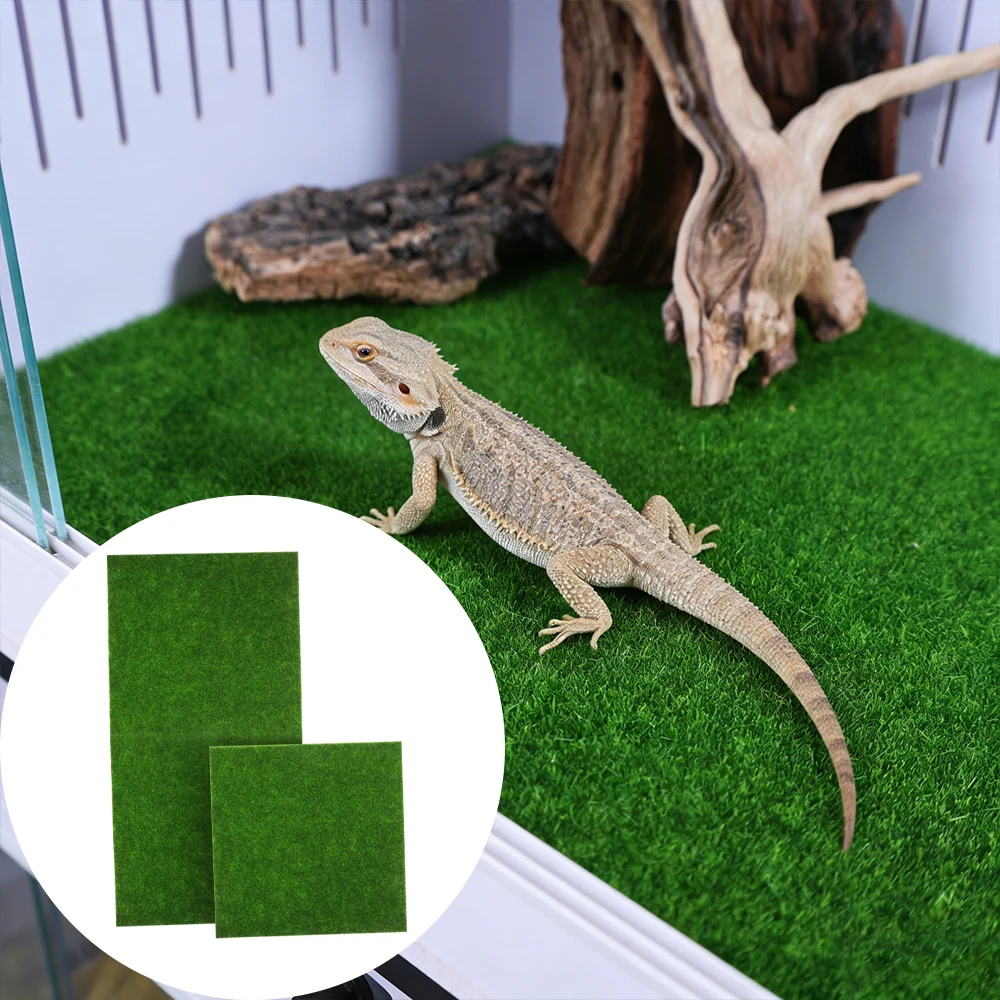 #14 Top 40 Pet Habitat Decors Worth Buying In 2026