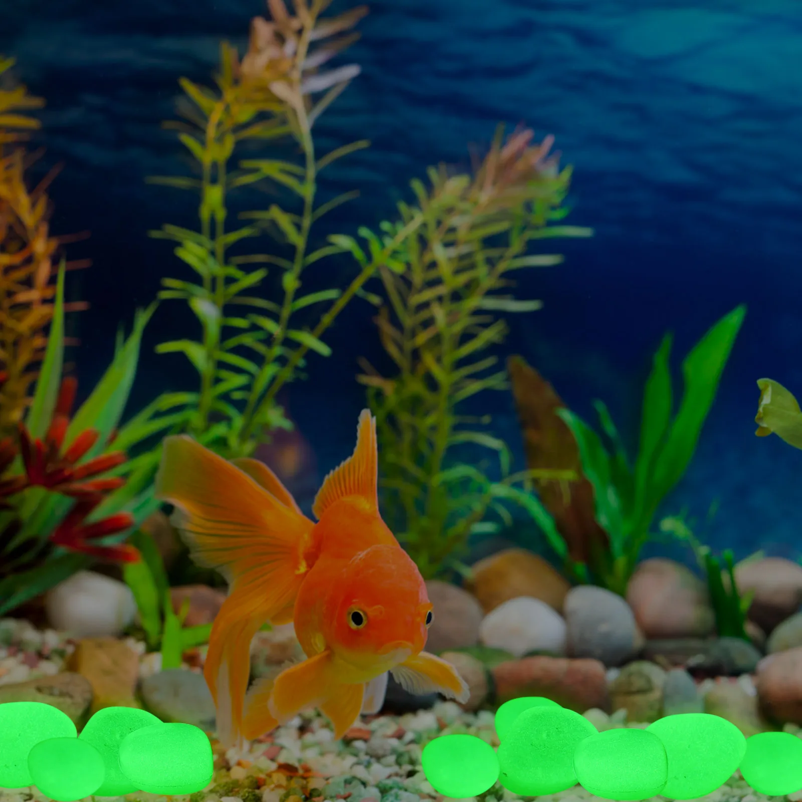 

200pcs in Dark Rocks Garden Decor Glow In The Dark Garden Pebbles Fish Tank Gravel Stones L scaping Night Safety Walkway